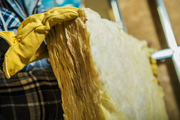 Best Attic Insulation Installation  in Groveland, ID